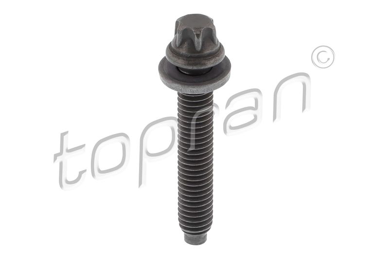 Screw TOPRAN 504 538