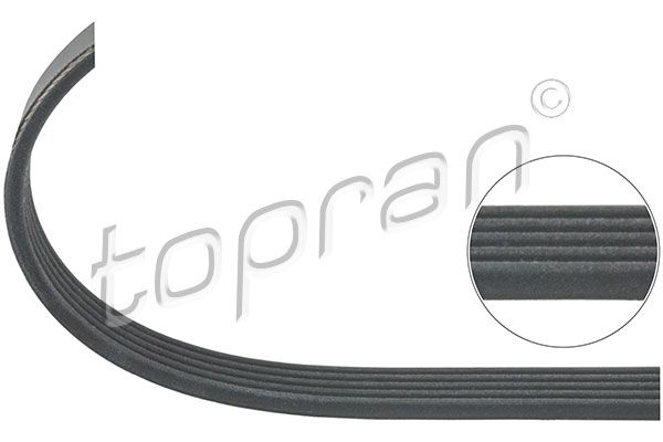 V-Ribbed Belt TOPRAN 101 115