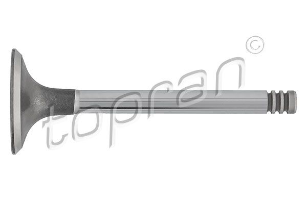 Intake Valve TOPRAN 101 516
