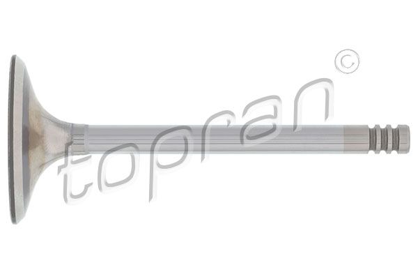 Intake Valve TOPRAN 101 599