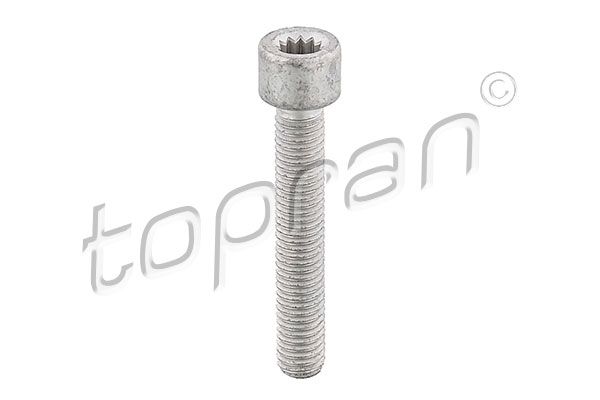 Varžtas, kardaninio veleno jungė TOPRAN 104 306