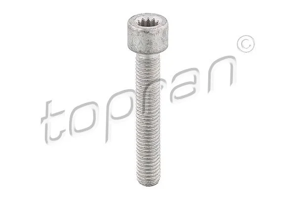 Гвинт, фланець вала привода TOPRAN 104 306