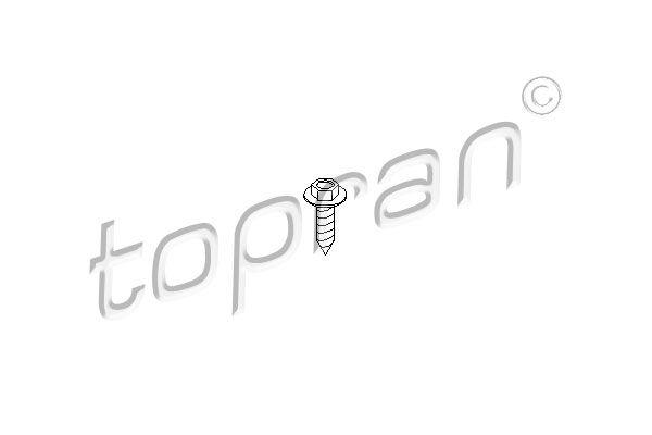 Screw TOPRAN 109 315