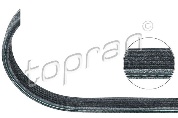 V-Ribbed Belt TOPRAN 109 865