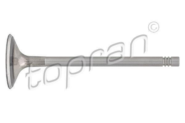 Intake Valve TOPRAN 110 203