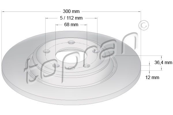 Brake Disc TOPRAN 113 011