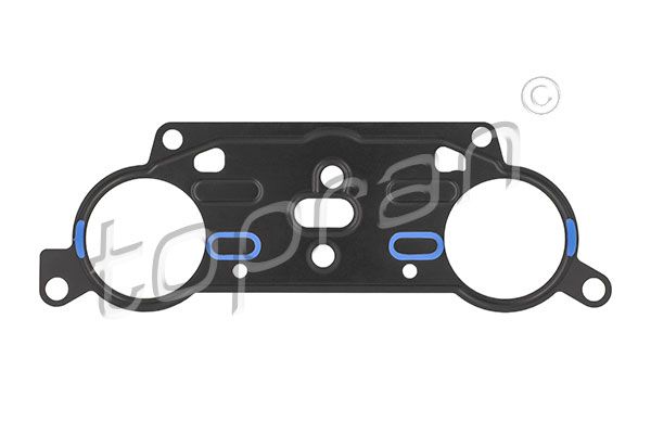 Gasket, timing case TOPRAN 113 283