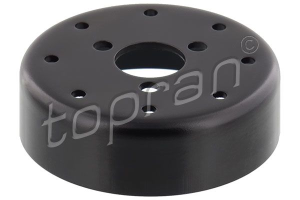 Belt Pulley, radiator fan TOPRAN 113 790