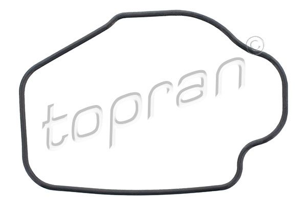 Seal, thermostat TOPRAN 202 330