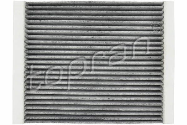 Filtras, salono oras TOPRAN 207 954