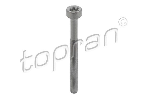 Screw, injection nozzle holder TOPRAN 410 287