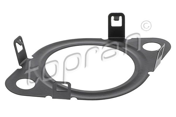 Gasket, EGR valve TOPRAN 601 396