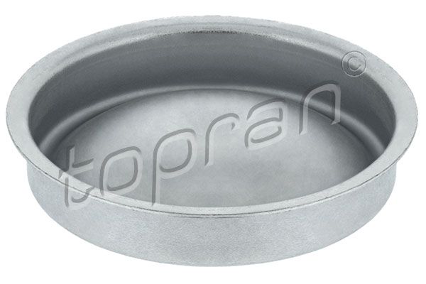 Protection Lid, wheel hub TOPRAN 723 482