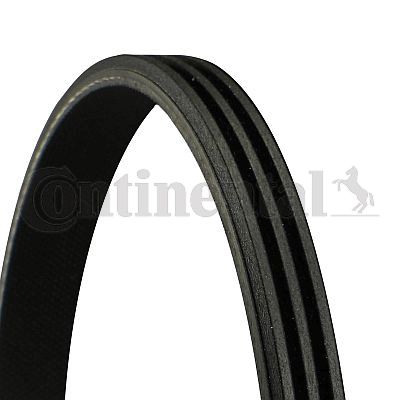 V formos rumbuoti diržai CONTINENTAL CTAM 3PK648