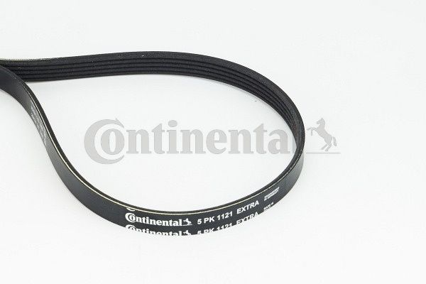 V-Ribbed Belt CONTINENTAL CTAM 5PK1121 EXTRA