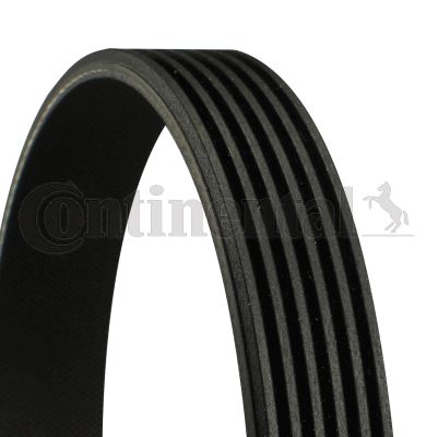 V-Ribbed Belt CONTINENTAL CTAM 6PK1098 EXTRA