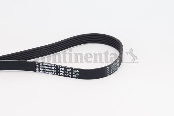 V-Ribbed Belt CONTINENTAL CTAM 6PK1836