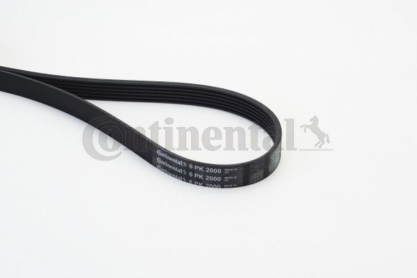 V-Ribbed Belt CONTINENTAL CTAM 6PK2000