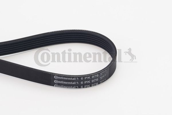 V-Ribbed Belt CONTINENTAL CTAM 6PK976