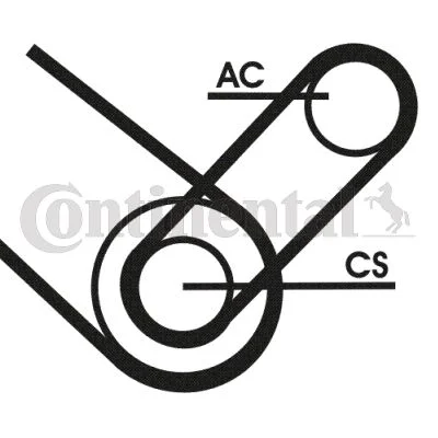 V formos rumbuotas diržas, komplektas CONTINENTAL CTAM 4PK874 ELAST T1