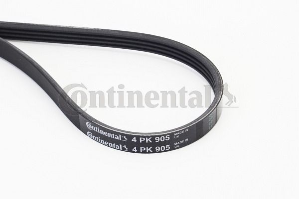 V-Ribbed Belt CONTINENTAL CTAM 4PK905