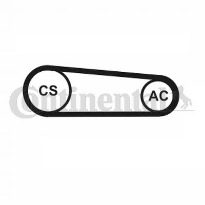 V-ribbed Belt Set CONTINENTAL CTAM 4PK917 ELAST T1