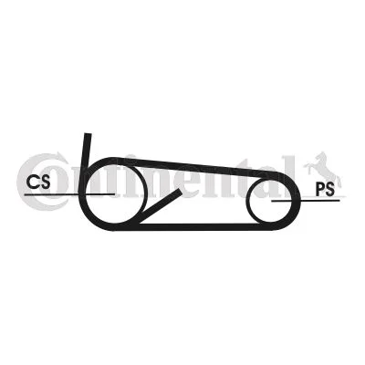 V formos rumbuotas diržas, komplektas CONTINENTAL CTAM 4PK922 ELAST T1