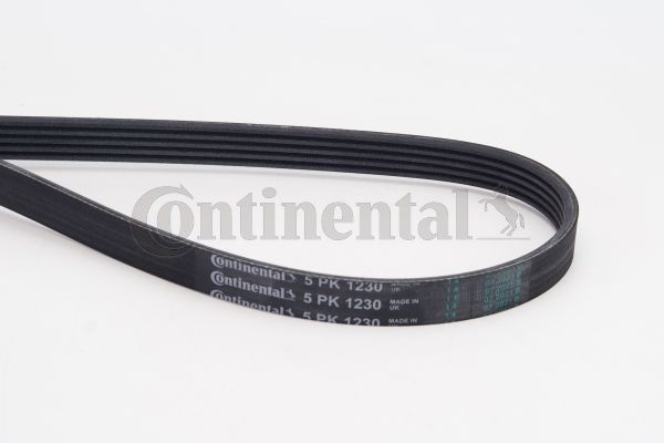 V-Ribbed Belt CONTINENTAL CTAM 5PK1230
