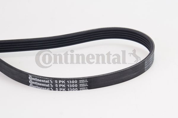 V-Ribbed Belt CONTINENTAL CTAM 5PK1300