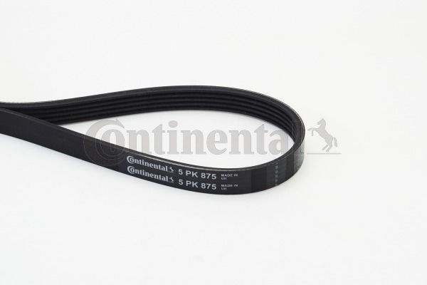 V-Ribbed Belt CONTINENTAL CTAM 5PK875