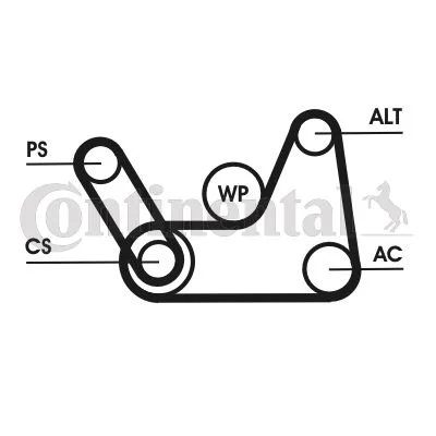 V-ribbed Belt Set CONTINENTAL CTAM 6PK1019 ELAST T1
