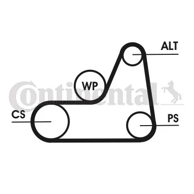 V-ribbed Belt Set CONTINENTAL CTAM 6PK1042 ELAST T1