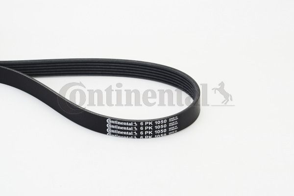 V-Ribbed Belt CONTINENTAL CTAM 6PK1050