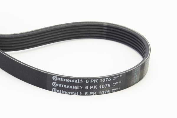 V-Ribbed Belt CONTINENTAL CTAM 6PK1075