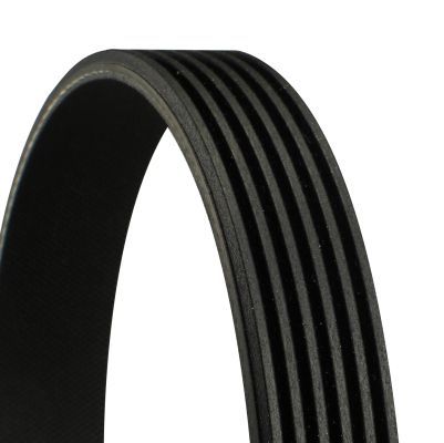 V-Ribbed Belt CONTINENTAL CTAM 6PK1080EXTRA