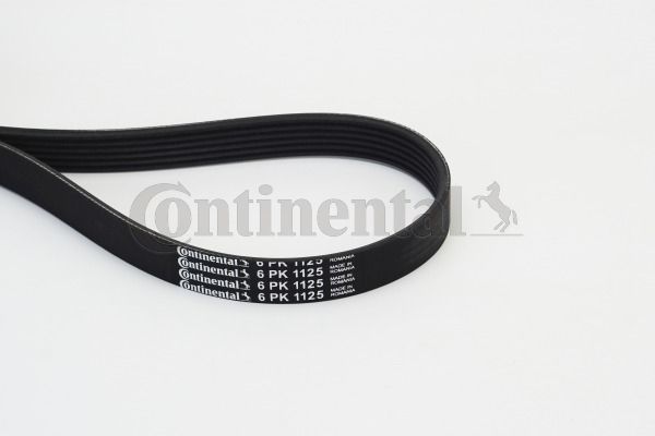 V-Ribbed Belt CONTINENTAL CTAM 6PK1125