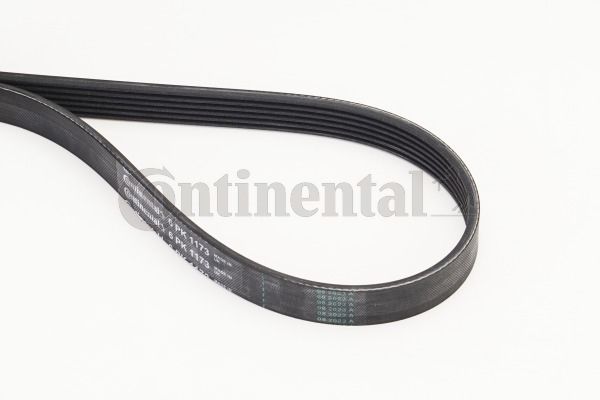 V-Ribbed Belt CONTINENTAL CTAM 6PK1173