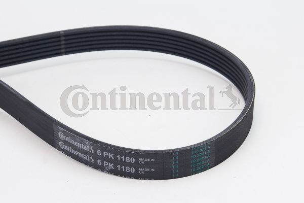 V formos rumbuoti diržai CONTINENTAL CTAM 6PK1180