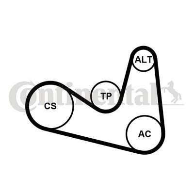 V formos rumbuotas diržas, komplektas CONTINENTAL CTAM 6PK1180K2