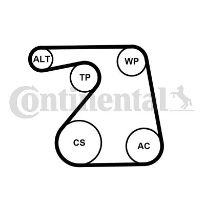 V formos rumbuotas diržas, komplektas CONTINENTAL CTAM 6PK1360K1