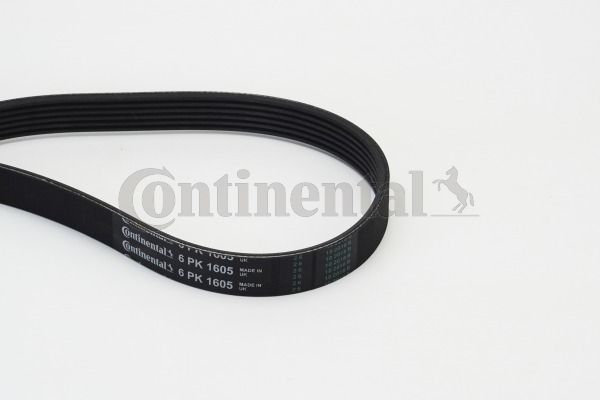V-Ribbed Belt CONTINENTAL CTAM 6PK1605