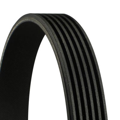 V formos rumbuoti diržai CONTINENTAL CTAM 6PK1635