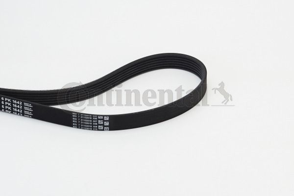 V-Ribbed Belt CONTINENTAL CTAM 6PK1642