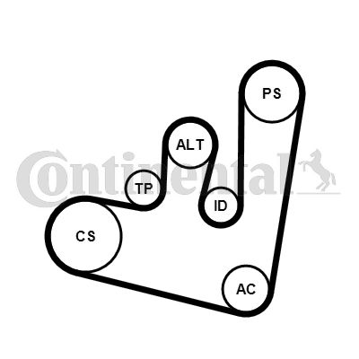 Комплект поліклинових ременів CONTINENTAL CTAM 6PK1660K1