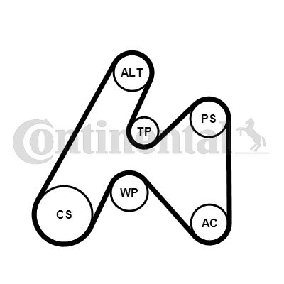 Ensemble de courroies trapézoïdales nervurées CONTINENTAL CTAM 6PK1660K3