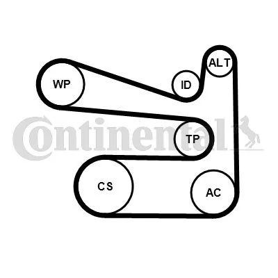 Vandens siurblys + V formos rumbuotas diržas, komplektas CONTINENTAL CTAM 6PK1693WP1