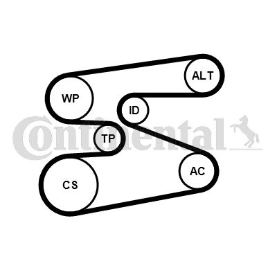 Vandens siurblys + V formos rumbuotas diržas, komplektas CONTINENTAL CTAM 6PK1698WP2