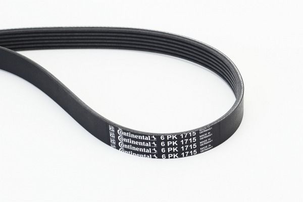 V-Ribbed Belt CONTINENTAL CTAM 6PK1715