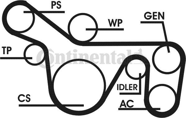 V-Ribbed Belt Set CONTINENTAL CTAM 6PK1720D1