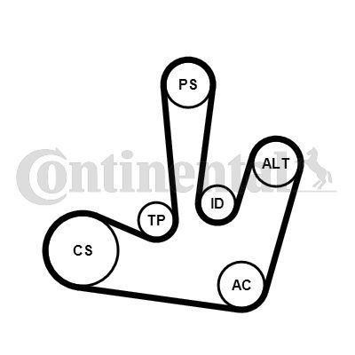 V formos rumbuotas diržas, komplektas CONTINENTAL CTAM 6PK1795K1